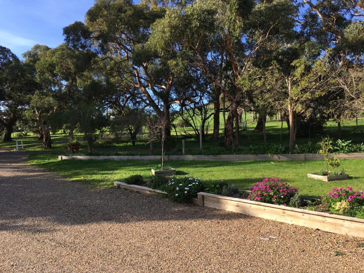 Lazy Days - Victor Harbor